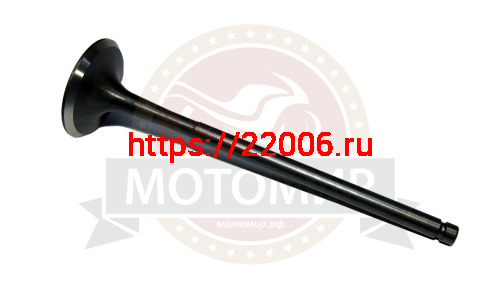 Клапан впускной CB250 см3 Zongshen ZS 170MM-2 (100061959)