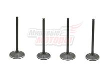 Клапаны (впуск/выпуск) 194MQ (NC450)