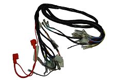 Проводка центральная RAID (НАБОР)