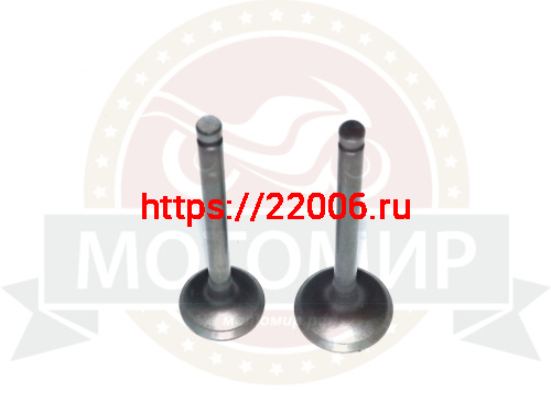 Клапан впускной/выпускной 1P54 ATV BRAVO (1040025-005-0000, 1040026-005-0000) Клапан впускной/выпускной 1P54 ATV BRAVO (1040025-005-0000, 1040026-005-0000)