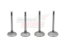 Клапаны Днепр (1 комплект=2 пары)