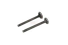 Клапаны (впуск/выпуск) 139QMB 50см3 (d18,5/16 l-64)