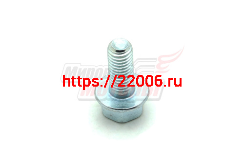 Болт М8х20х1,25 с фланцем Болт М8х20х1,25 с фланцем