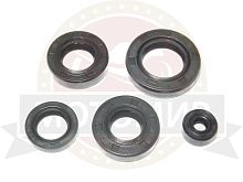 Набор сальников CBB250 см3 (5шт)