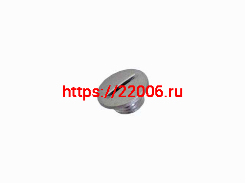 Пробка левой крышки 172FMM (CB250D-F)